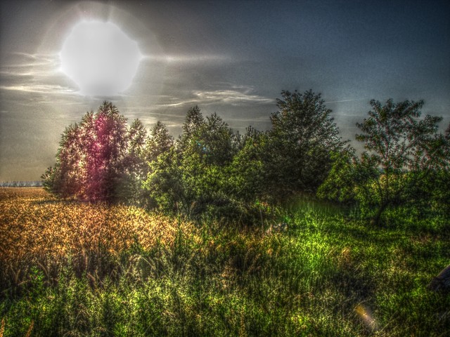 HDR