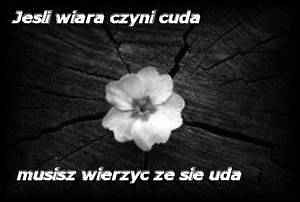 szczzliwa mio