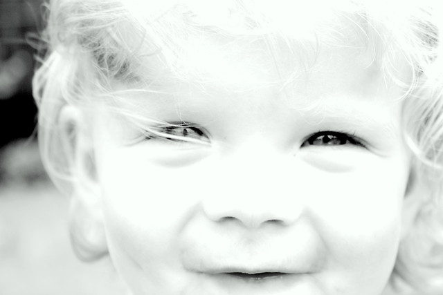 Maja . . . 