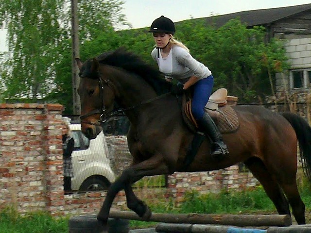 Bartman ; *