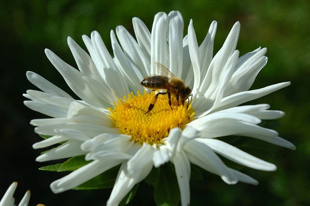 natura ; ) 