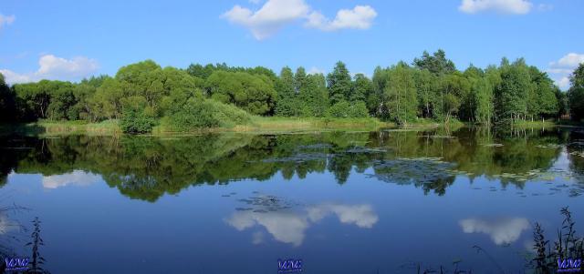 Wpis wojciechwnuk