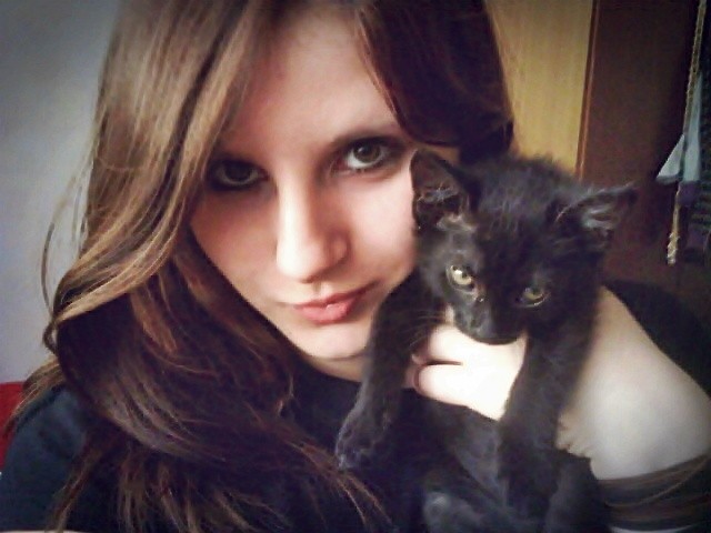 Wpis stalina