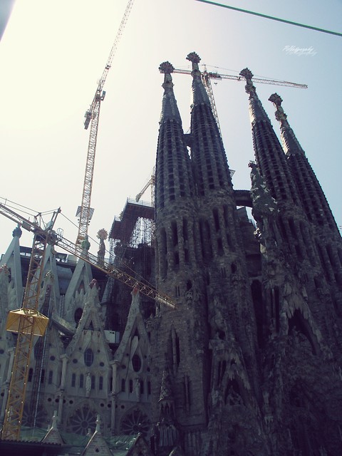 T.E de la Sagrada Familia