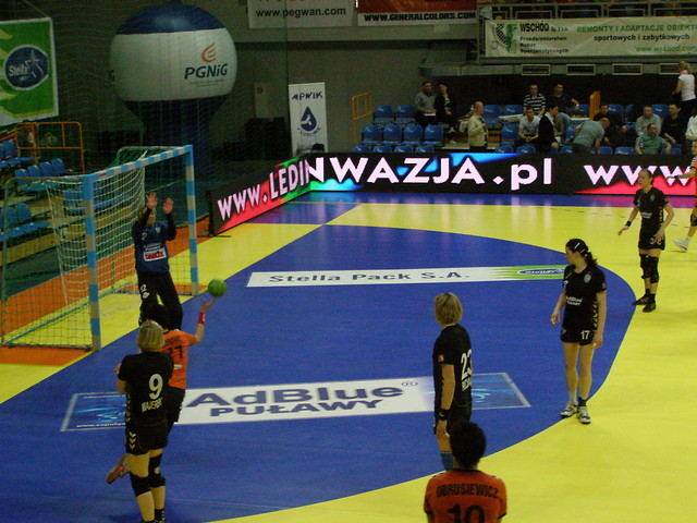 Wpis madsheep