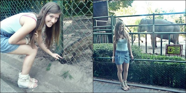 Wpis wieszz