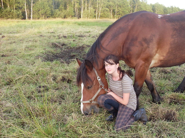 Wpis chestnuthorse
