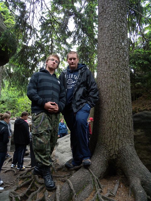 bedne skaly 