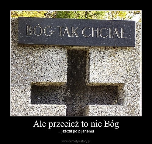 Wpis nochoodztutaj