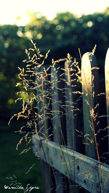 5. The middle of summer.