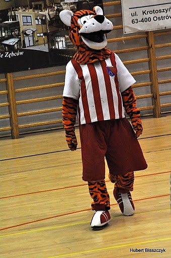 Wpis owieszcocipowiemo