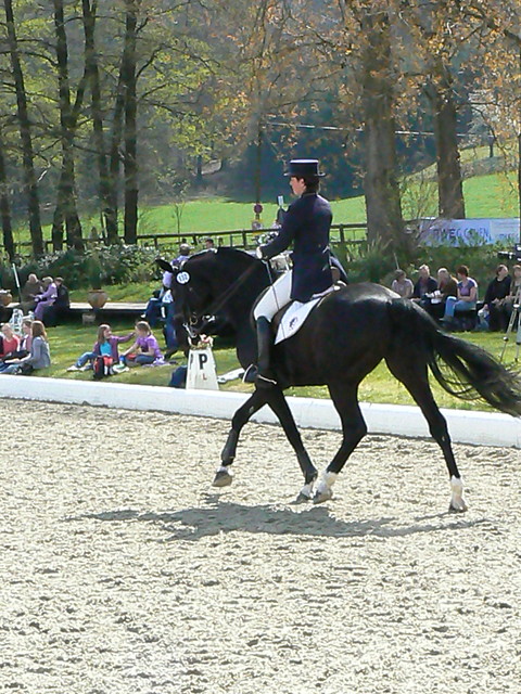 Wpis horsesanddreams