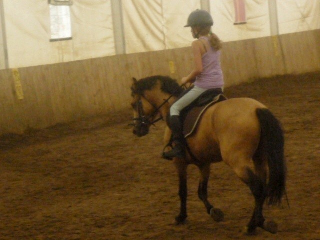 Auri ; **