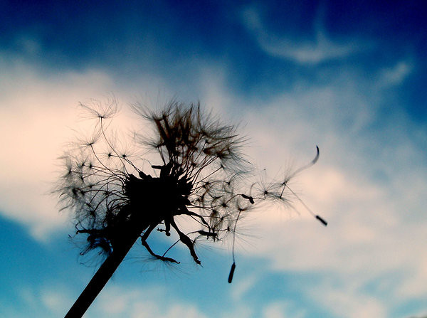 sunny windy days.
