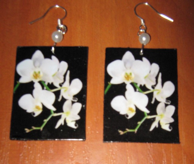 orchidea