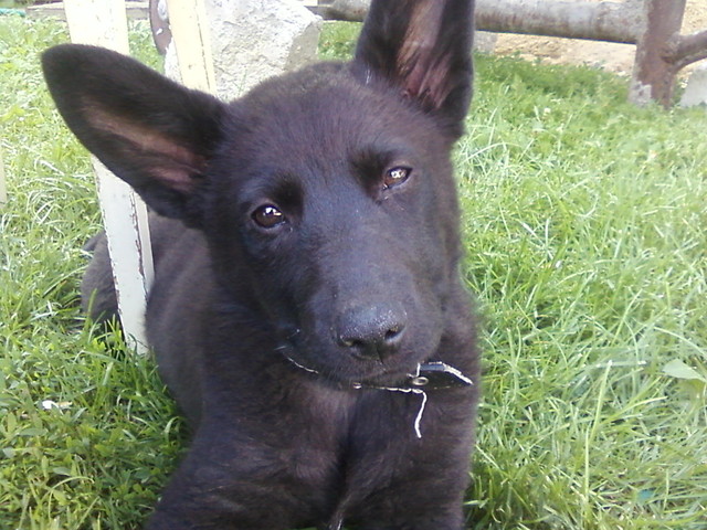 Moja kochana Sara :-*