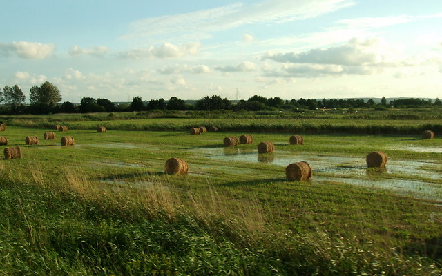 800km