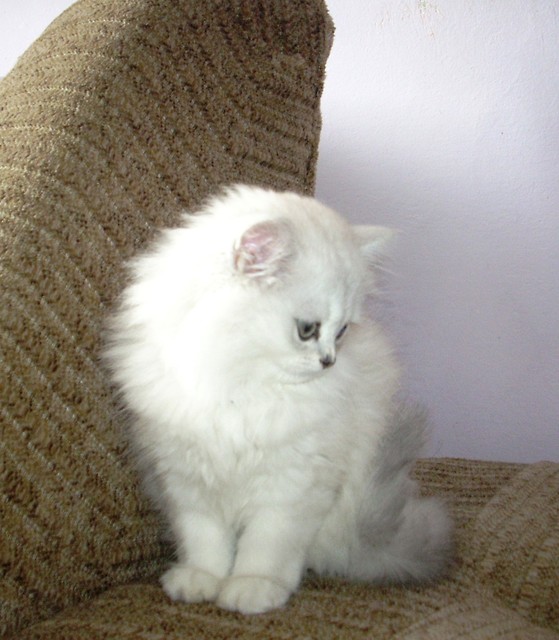 Jzefina:)