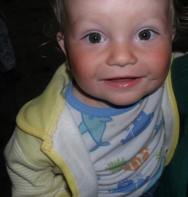 Sodziak mj..;**