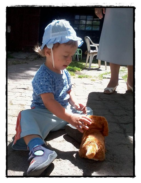Z pieskiem