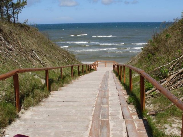 Biaogra.