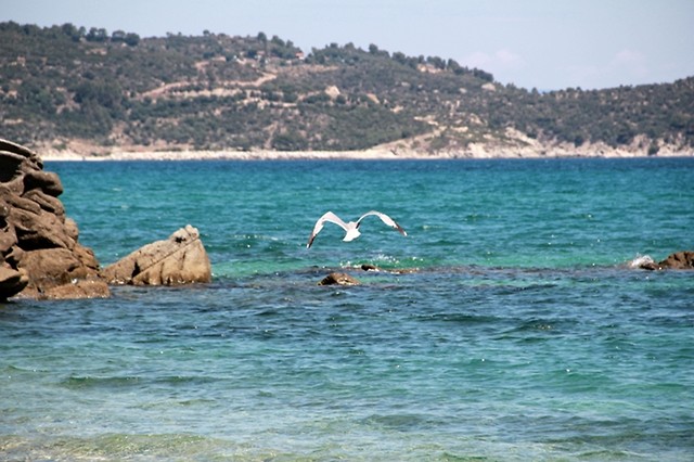 greece.