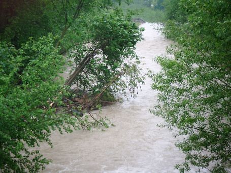 Rwca rzeka