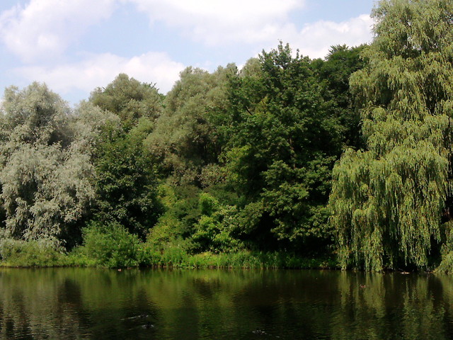rozmylajc 