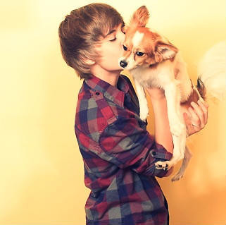 Wpis welovebieber