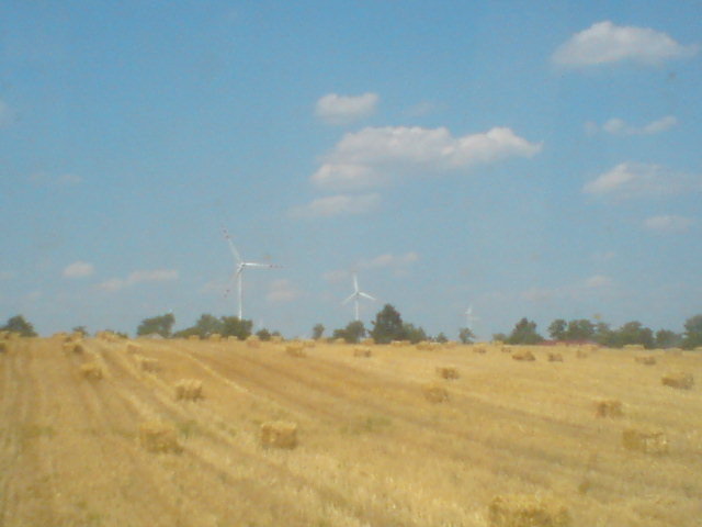 niwa