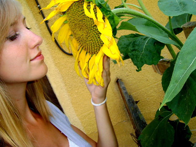 Wpis daisy007