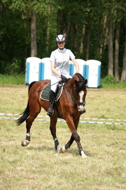 Wpis equestrian