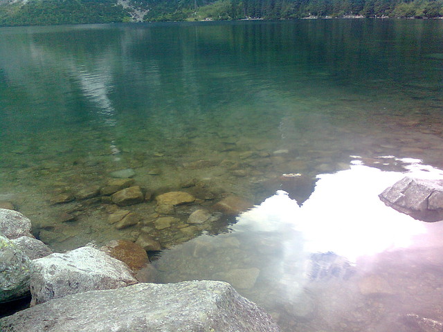 Fot. Beacia;*