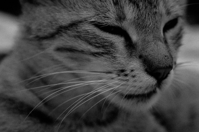 Mruuu :)
