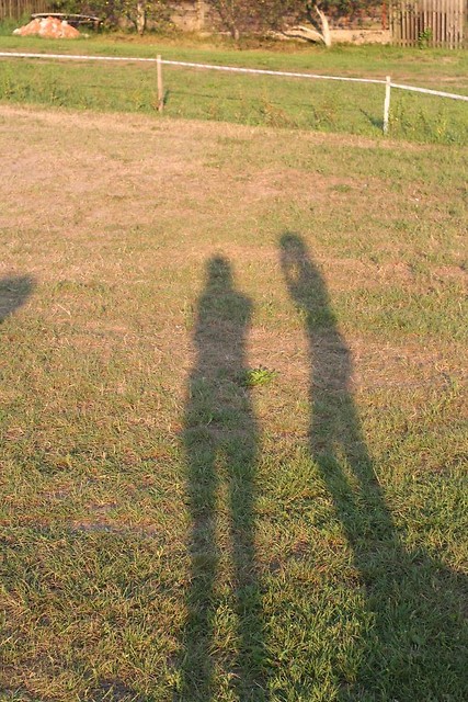 cie