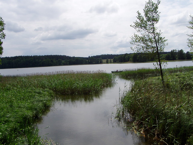 mazurki