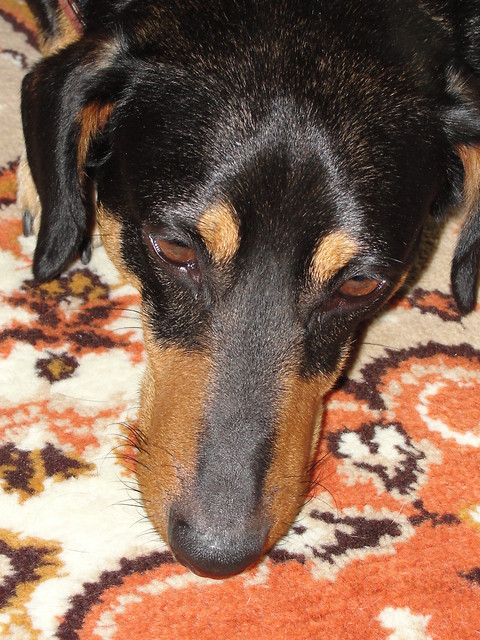 Alfi.