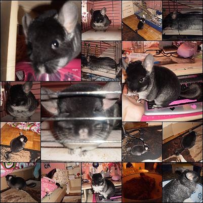 Tutasek :*