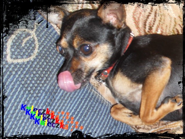 Kuleczka ;**