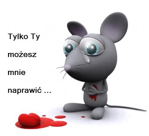 Wpis jakkochactotylkociebie