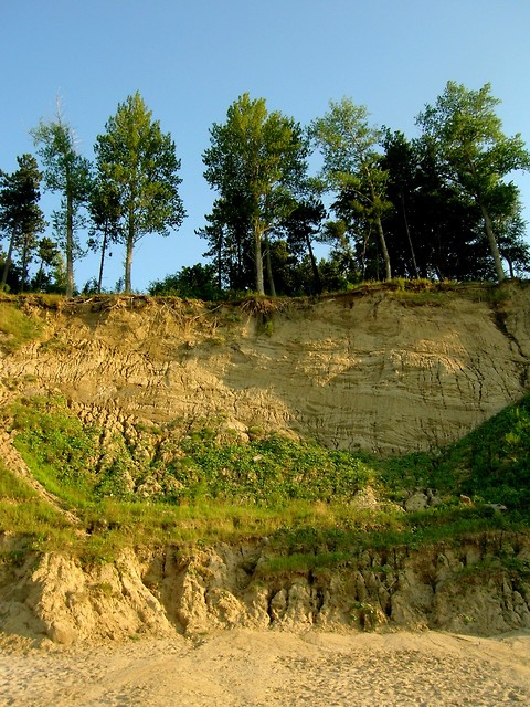Jastrzbia Gra