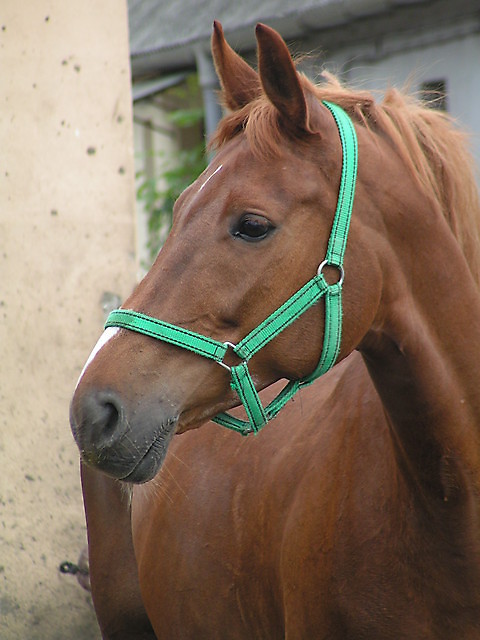 Wpis szara1991