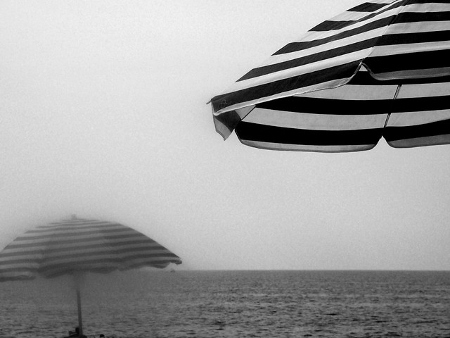 umbrella