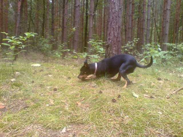 Kora :*