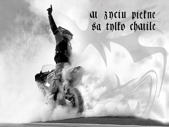 Wpis albela