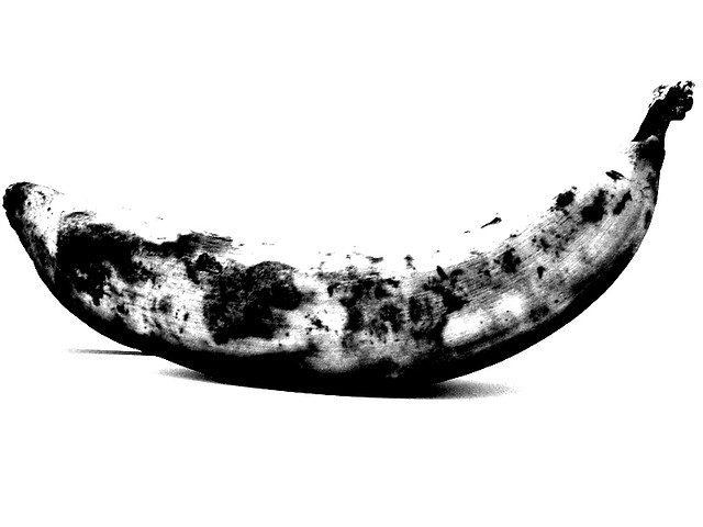 Wpis lililium