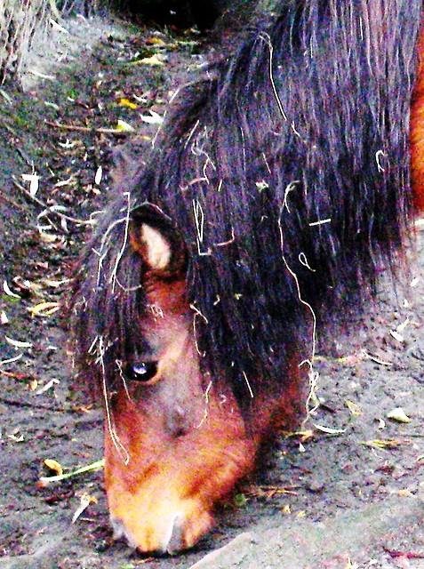 Wpis dusia2000