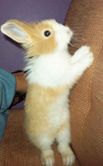 Ninka :P