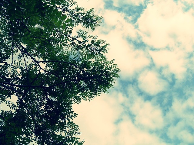 heaven.