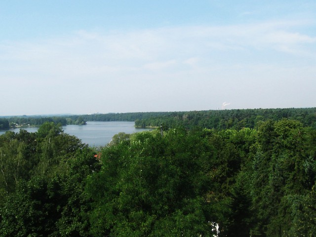 3.
